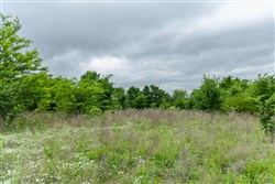 Harmony Hills Tract 1