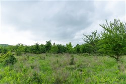 Harmony Hills Tract 1