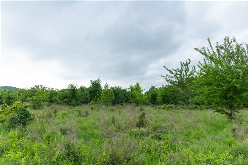 Harmony Hills Tract 1