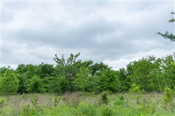 Harmony Hills Tract 1