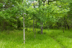 property photo for Harmony Hills Tract 10, 5.25 acres for sale in Pittsburg County, Oklahoma