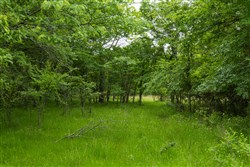 property photo for Harmony Hills Tract 10, 5.25 acres for sale in Pittsburg County, Oklahoma