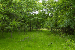 property photo for Harmony Hills Tract 10, 5.25 acres for sale in Pittsburg County, Oklahoma