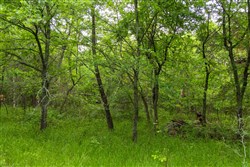 property photo for Harmony Hills Tract 10, 5.25 acres for sale in Pittsburg County, Oklahoma
