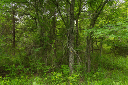 property photo for Harmony Hills Tract 10, 5.25 acres for sale in Pittsburg County, Oklahoma