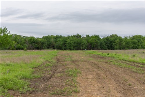 Harmony Hills Tract 11