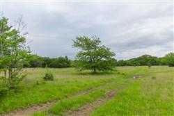 Harmony Hills Tract 11