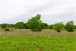 Harmony Hills Tract 11