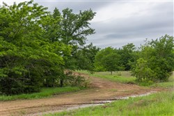 Harmony Hills Tract 11