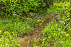 property photo for Harmony Hills Tract 12, 5.13 acres for sale in Pittsburg County, Oklahoma