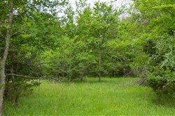 Harmony Hills Tract 14