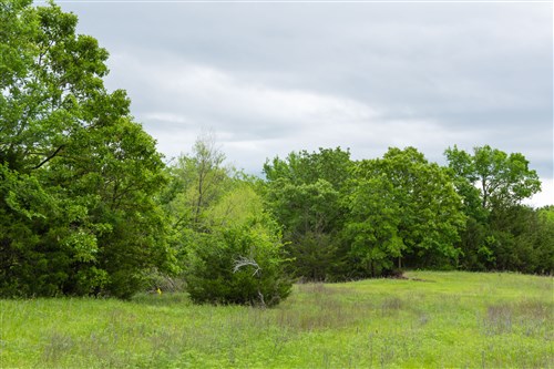 Harmony Hills Tract 14