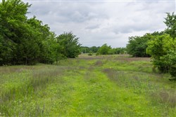 Harmony Hills Tract 14