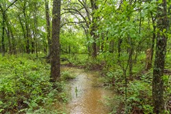 Harmony Hills Tract 16