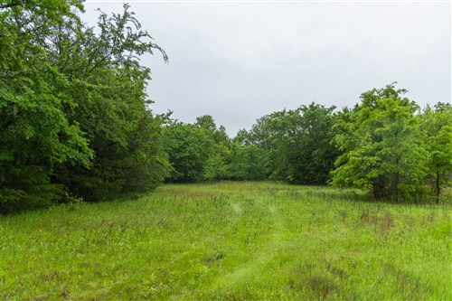 Harmony Hills Tract 16