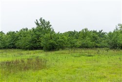 Harmony Hills Tract 16