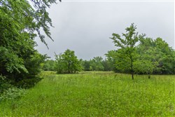 Harmony Hills Tract 16