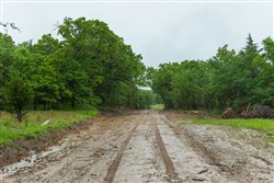 Harmony Hills Tract 16