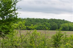 property photo for Harmony Hills Tract 17, 5.68 acres for sale in Pittsburg County, Oklahoma