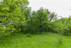 property photo for Harmony Hills Tract 17, 5.68 acres for sale in Pittsburg County, Oklahoma