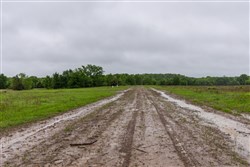 Harmony Hills Tract 18