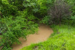 Harmony Hills Tract 18