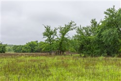 Harmony Hills Tract 18