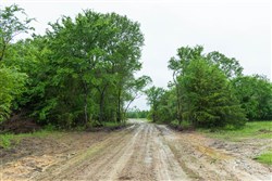 Harmony Hills Tract 19