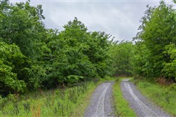 Harmony Hills Tract 19