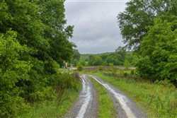 Harmony Hills Tract 19