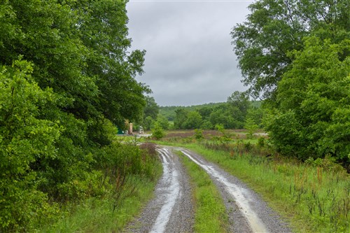 Harmony Hills Tract 19