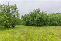 Harmony Hills Tract 19