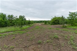 Harmony Hills Tract 2