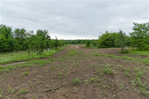 Harmony Hills Tract 2