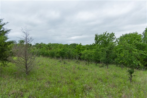 Harmony Hills Tract 2
