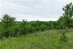 Harmony Hills Tract 2