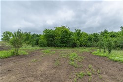 Harmony Hills Tract 2
