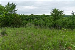 Harmony Hills Tract 2