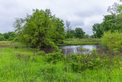 property photo for Harmony Hills Tract 20, 5.68 acres for sale in Pittsburg County, Oklahoma
