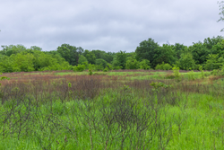property photo for Harmony Hills Tract 20, 5.68 acres for sale in Pittsburg County, Oklahoma