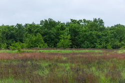 property photo for Harmony Hills Tract 20, 5.68 acres for sale in Pittsburg County, Oklahoma