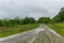 Harmony Hills Tract 20