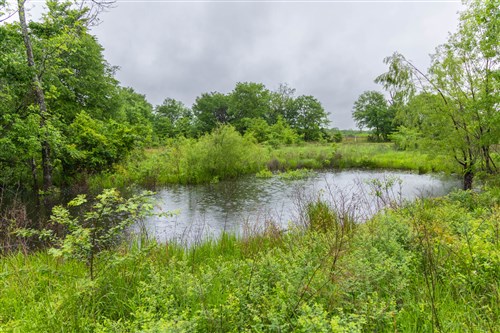 Harmony Hills Tract 20