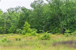 Harmony Hills Tract 20