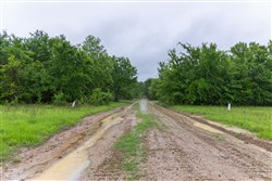 Harmony Hills Tract 20