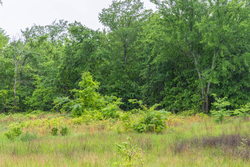 property photo for Harmony Hills Tract 20, 5.68 acres for sale in Pittsburg County, Oklahoma