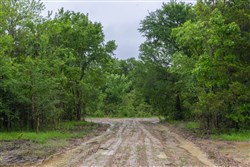 Harmony Hills Tract 21