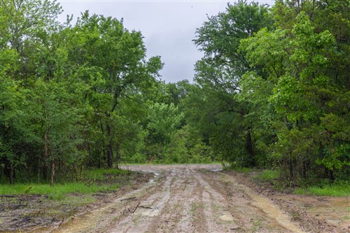 Harmony Hills Tract 21