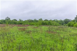 Harmony Hills Tract 21