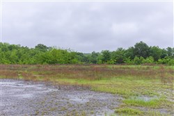 Harmony Hills Tract 21